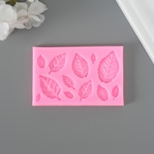 Mold Silicon 