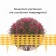 Decorative fence, 25 × 300 cm, 8 sections, plastic, yellow "Ivushka"