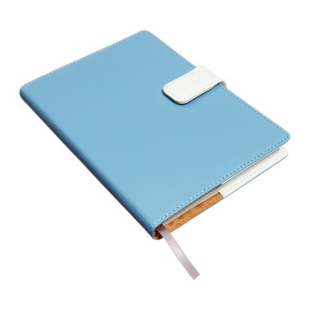 Organizer, A5, 128 sheets, a cage, the cover of the leatherette, with a knife, "Business", Blue-1