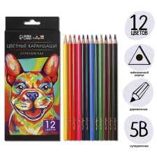 Pencils 12 colors TOP Calligrata, in a cardboard box, neck diameter - 3mm, 5b