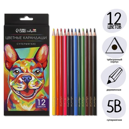 Pencils 12 colors TOP Calligrata, in a cardboard box, neck diameter - 3mm, 5b