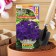 Petunia Mambo F1 is blue multi -flowered, 7 pcs