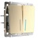 Two-clavy passage circuit breaker with WL10-SW-2G-2W-LOD backlight, champagne color