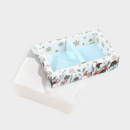 Folding box with a plastic lid "Snow Botany", 16.5 x 11 x 4 cm, New Year-3
