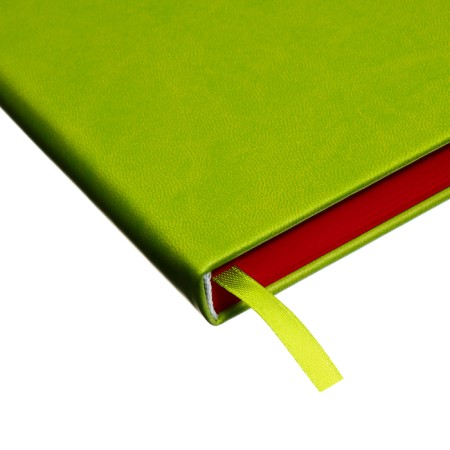 Leduced Diary A5, 140l, Cage, leatherette, elastic band, red cut, green-4