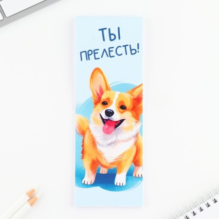 Set 2 pencils and notebook "Corgi"-2