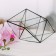 Florarium "Crystal" (Switch Silver)