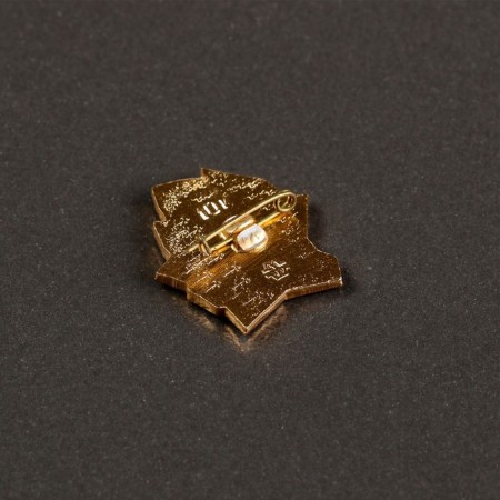 Pioneer icon-1