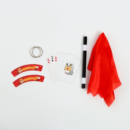 Set of the wizard "Faculty of Brave" 6 pcs.-1
