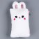 Penal School Soft "Bunny", 21 × 13 cm, plush, white color