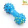 The toy squeaks enlarged "dumbbells with paws" for dogs, 16.5 x 6 cm, blue