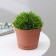 Pot for flowers with a minute pallet, 700 ml, d = 12 cm, h = 9.4 cm, terracotta color