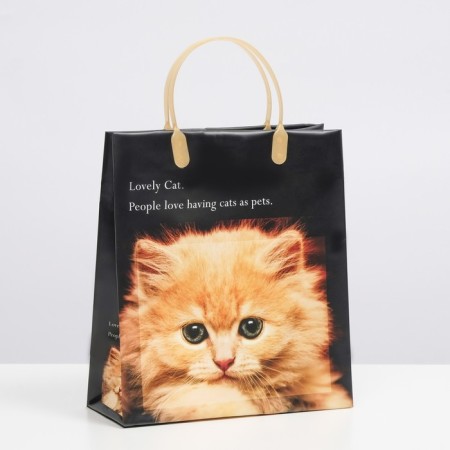 Package "kitten", soft plastic, 26 x 23 cm, 100 μm-1