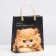 Package "kitten", soft plastic, 26 x 23 cm, 100 μm