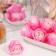 Soap rose, white-pink