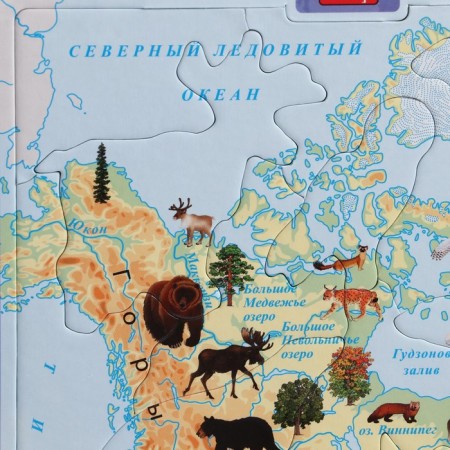 Developing puzzle "North America"-2
