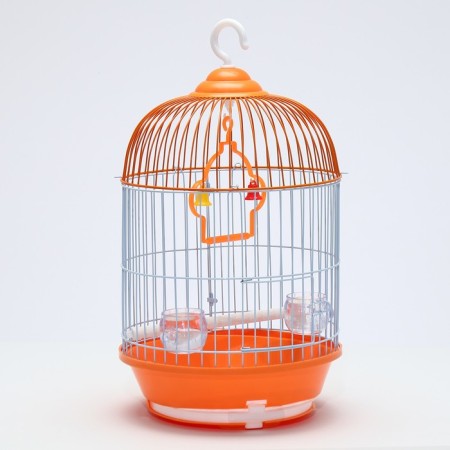 Birds Cell-Kound equipped BD-4/2, 23.5 x 33 cm, orange