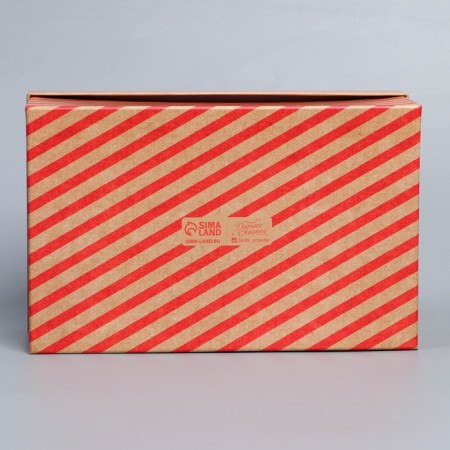 Gift Box "New Year's Post", 22 x 14 x 8.5 cm, New Year-4