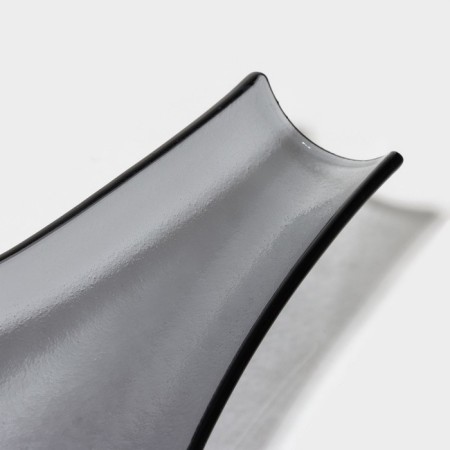 Glass Serving Magistro "Avis", 32.5 × 9.5 × 4 cm-3