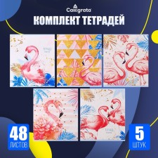A set of notebooks of 5 pieces, 48 ​​sheets in the Calligrata Flamingo cage, cover coated cardboard, UV-lak, OFSET block