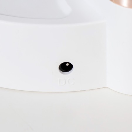Bloom table lamp LED 3W AKB USB white 11.5x13x45 cm Risalux-8