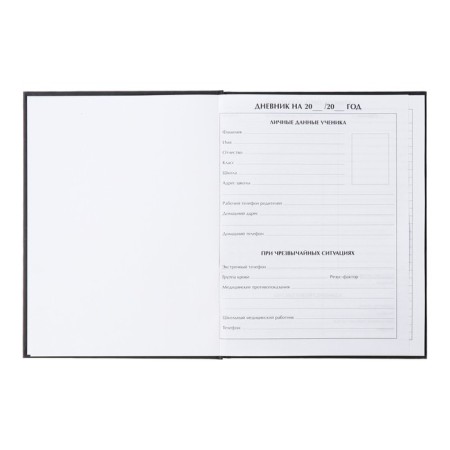 Universal diary for grades 1-11, "butterflies. Golden foil", solid cover 7BC, matte lamination, foil embossing, 40 sheets-4