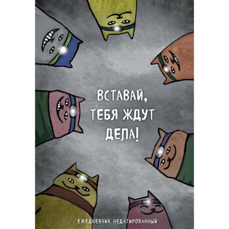 Tourist cats. Get up, things are waiting for you. The diary is notatored, A5. Bogdanova E.V.