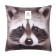 Decorative pillow "raccoon"