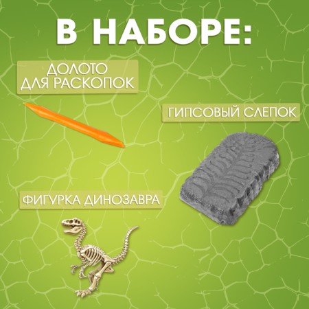 Excavation Set "Excess a dinosaur"-1