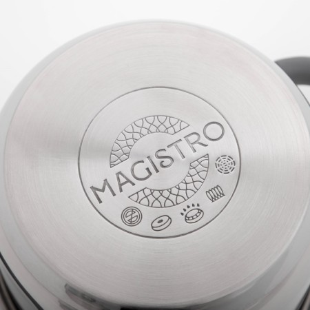 Magistro tefida stainless steel pan, 1.7 l, lid-durglang, plum nose, capsule, silicone handles-5