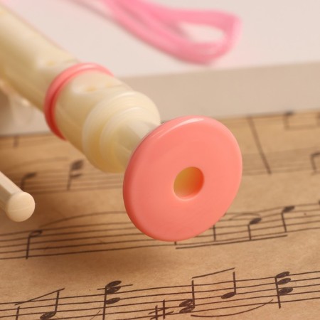 Music Life Blockflate, 8 holes, pink cover, ramrod, 30 cm-1