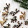New Year's decor with “Deer” backlight 8 × 12.5 cm, set of 12 pcs.