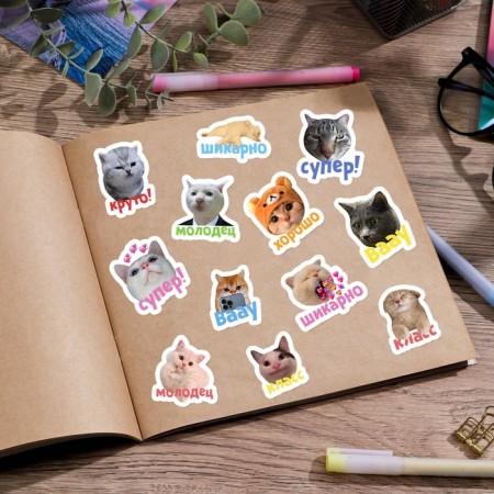 Paper stickers of the rating "Cats", 11 x 18 cm-2