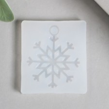 Mold Silicon 