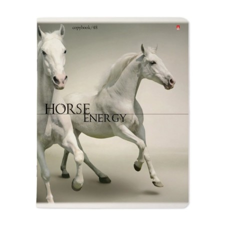 Notebook of 48 sheets in the “horses” cage, cover coated cardboard, UV-lak, block 60 g/m2, mix-2