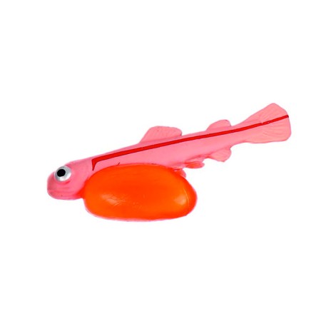 Training set "Stages of fish development" 5 figures-3