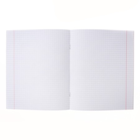 Notebook of 40 sheets in the cage "Cat Girl", cover coated cardboard, offset block 65g/m2, mix-6