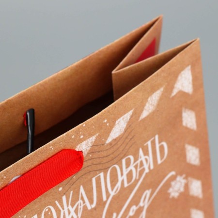 Craft vertical packet "Mail Santa Claus", M 26 x 30 x 9 cm, New Year-6