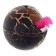 Growing animals in a round black egg "Dinosaurian Country"