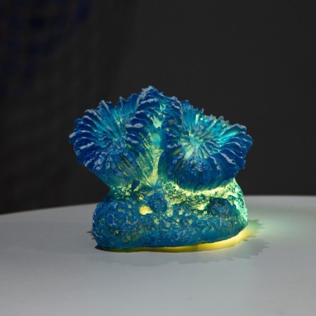 Interior souvenir "Coral" 11x9x9cm-2