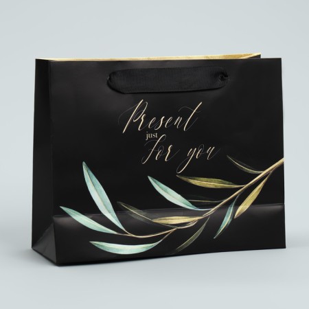 Gift Laminated Horizontal Package, Packaging, Present Just for You, 22 x 17.5 x 8 cm-3