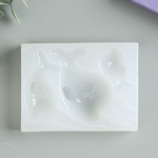 Mold Silicon 