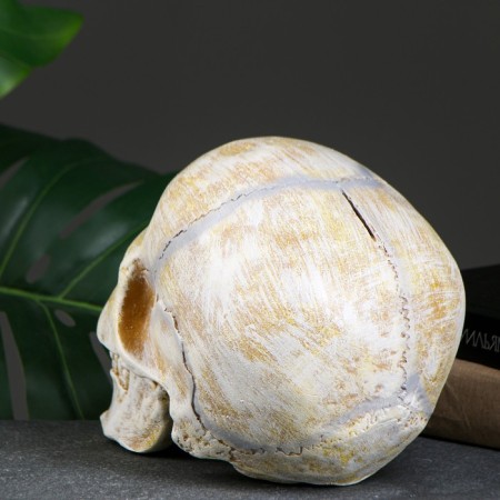 Pigger "Skull" bone, 16x13x22cm-2