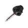 Xenon lamp Clearlight D2S, 4300 K