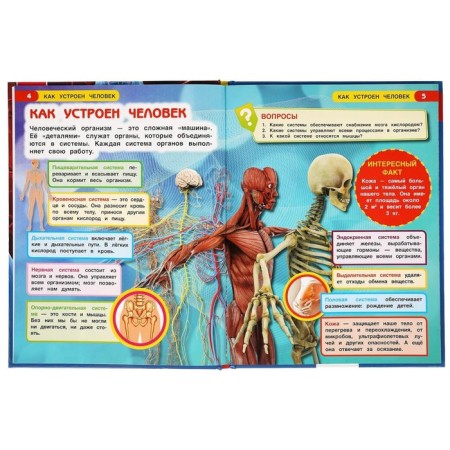 How a person works. Encyclopedia with developing tasks-2