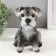 Piggy bank "Mittel puppy" height 17 cm, width 11.5 cm, length 16.5 cm gray-black