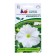 Flowers of Petunia "Izadora", F1, semi -ample, white, 5 pcs