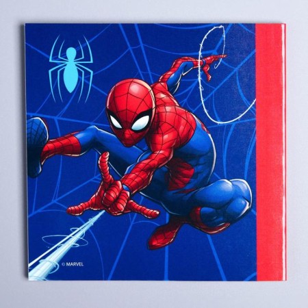 Chancellery set, Spider-Man-1