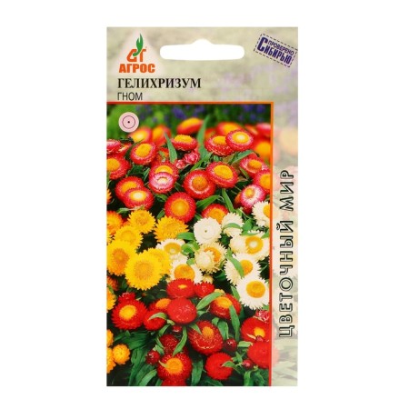 Seeds with helichrizum gnome 0.3g*dry
