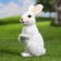 Garden figure "Bunny" White, 12x9x21cm